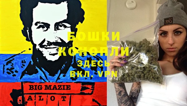 МДПВ Володарск