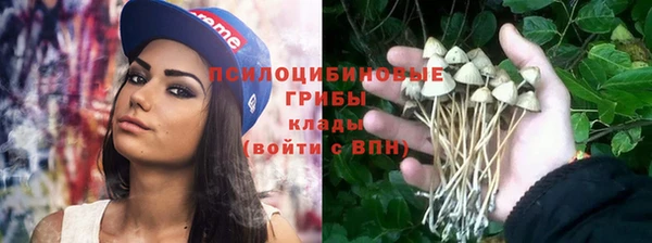 МДПВ Володарск